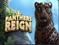 Panther's Reign - PIN UP