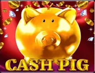 Cash Pig - PIN UP